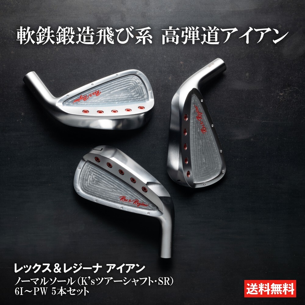 王さま レジーナ REX REGINA 軟鉄鍛える 飛び系 アイアン アイアン仕掛ける ゴルフ野球クラブ 6I PW ノーマルソール Ks周遊旅行 スチール写真立て坑