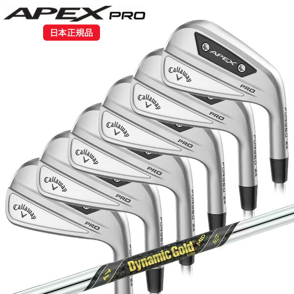 tkr ツアー支給品 APEX PRO 19 IRON ５〜Pw ６本 ツアー支給品 APEX PRO 19 IRON 5〜Pw 6本 キャロウェイ