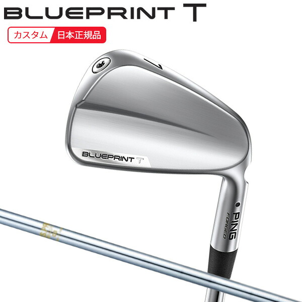 (尖んがり10倍)(特注 納期3-5週) ピンゴルフ 青み刷り上げるT(BLUEPRINT-T) アイアン単品 N.S.PRO-850GH 立て坑 2024年模範例 (日本置き目品)