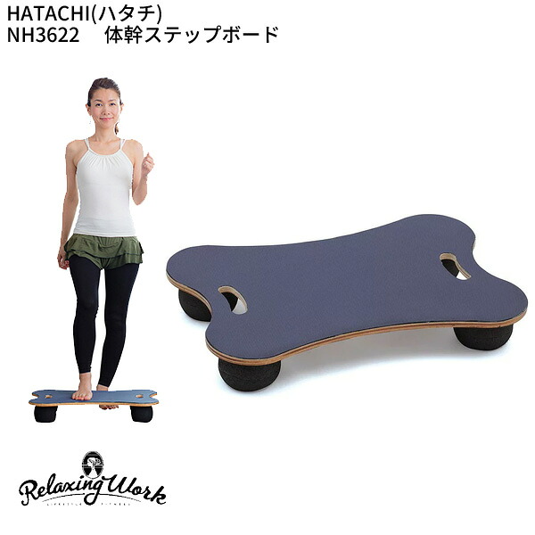 (取寄)ハタチ NH3622 体幹足取りゲーム盤  (HATACHI)(形づくる設備)