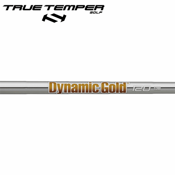 楽天市場】トゥルーテンパー ダイナミックゴールド 120 スチール アイアンシャフト 【#5-W/6本組】 (True Temper DG 120  Iron) (#5-#W/6pcs set) : ゴルフセオリー