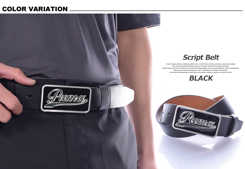 puma belt puma belt