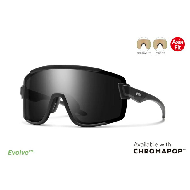 楽天市場】サングラス スミス SMITH Wildcat Matte Black / CP Glacier