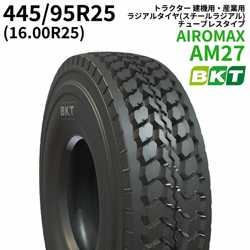 am27_445_95r25_01.jpg