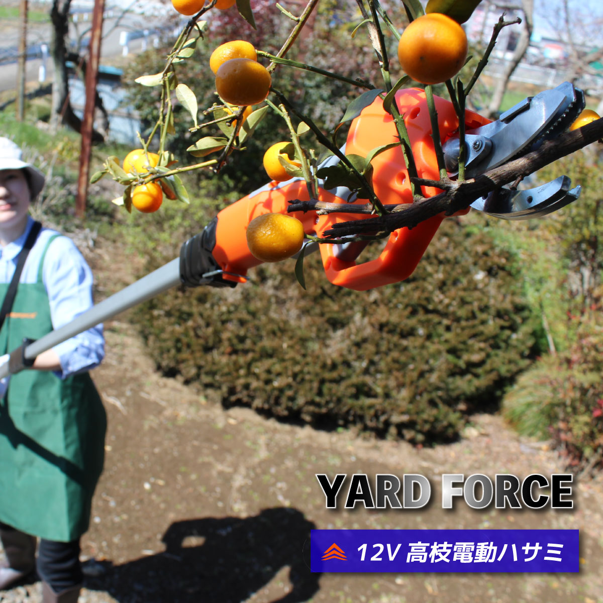 ＼月に1度のお得なスペシャルWEEK！／＜YARD FORCE＞12Vコードレス高枝電動ハサミ（LX AFP1-JP）