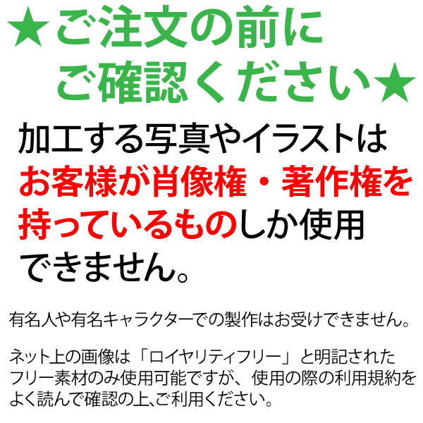 楽天市場 写真プリント クッションカバー フルカラー 1個より制作ok デジタル工房ｇａｚｏ