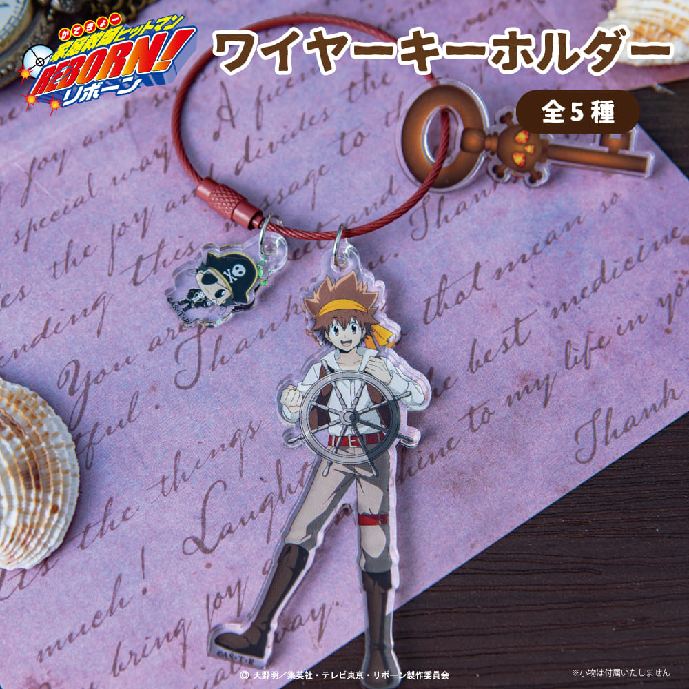 希少 レア 家庭教師ヒットマン リボーン アクキー 楽天市場】家庭教師 ヒットマン リボーン TDコレクトアクリル