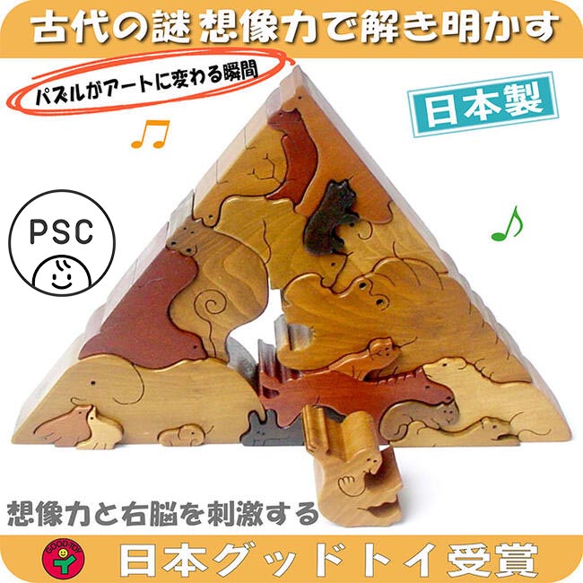 動物のピラミッド（A）