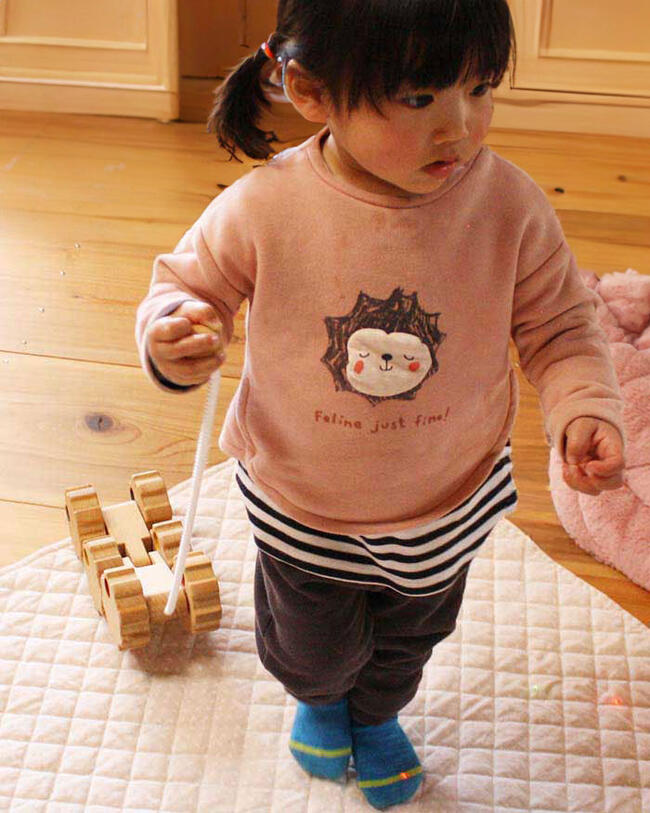 名入れ可 木のおもちゃ 日本グッド トイ受賞おもちゃ 赤ちゃん 木製玩具 はいはいから歩き始めの動作を促す歩き始めのプルトーイ 日本製 赤ちゃん 男の子 おもちゃ 1歳 ランキング 2歳 3歳 誕生日 出産祝い 送料無料 六輪車 歯車オープンタイプ プルトーイ 木の