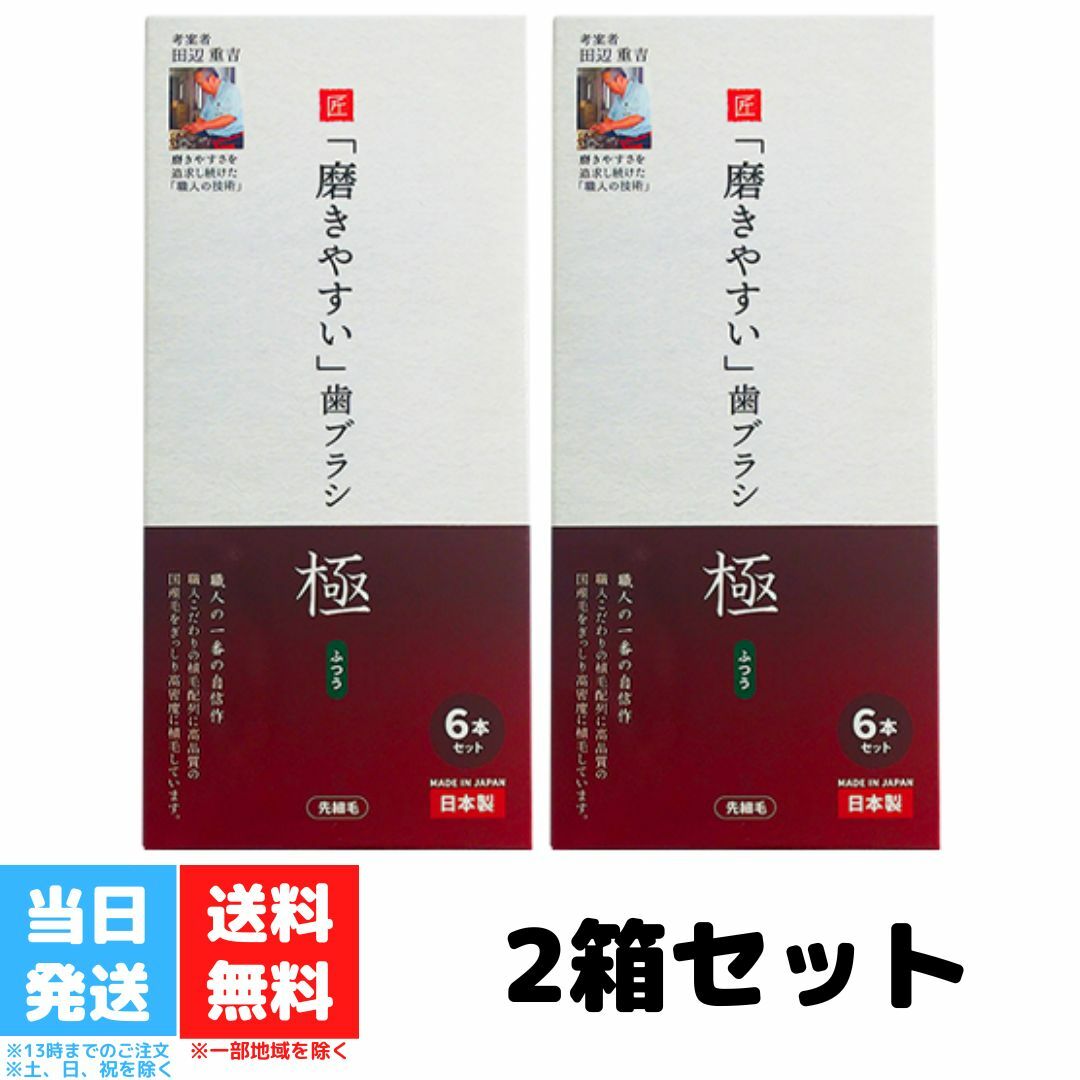 お中元 歯ブラシ職人 田辺重吉考案 LT-53 磨きやすい 歯ブラシ 極 ふつう 先細毛 6