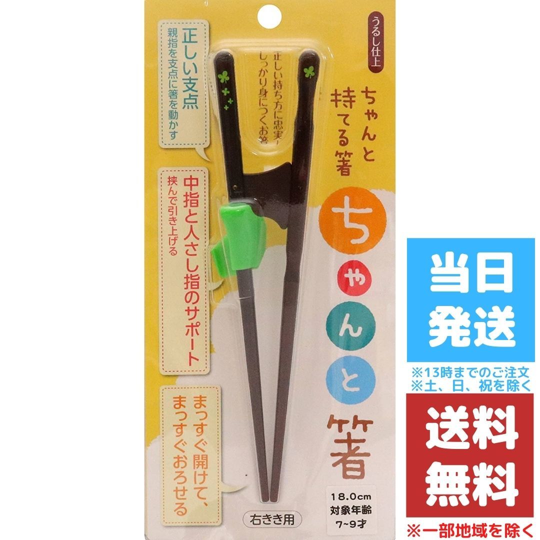 名作 イシダ ちゃんと箸 子ども用 矯正箸 ブラック 右利き用 18cm 送料無料 newschoolhistories.