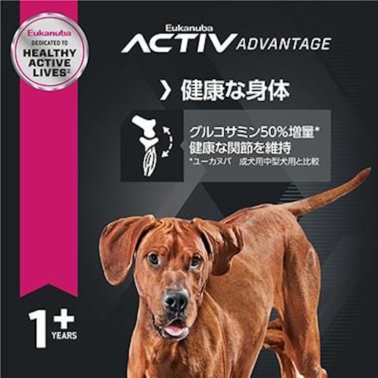 日本最大の サンスター フロントディスクローター プレミアム ホール