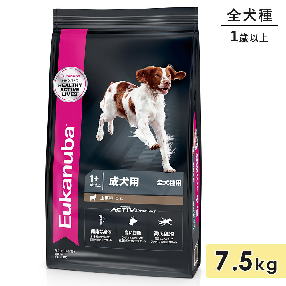 【賞味期限2026/12/19】ユーカヌバ アダルト ラム＆ライス 7.5kg 成犬用 全犬種用 ラム 1歳以上 ドッグフード ドライフード Eukanuba 正規品