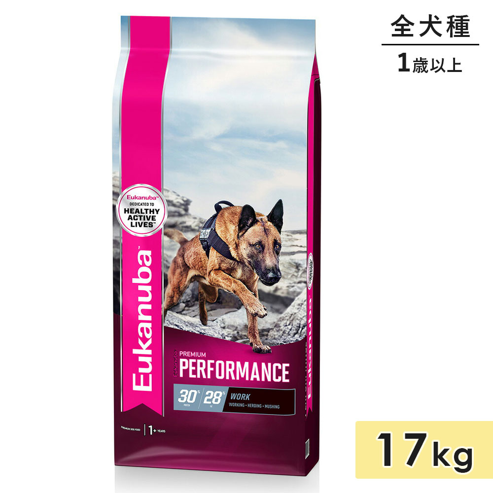 【面白がる締めきり日2026/11/16】ユーカヌバ 割り増し金 動作 17kg 成犬用 全犬種用 細工物 1歳以上 ドッグフード 素っ気ないボンネット Eukanuba 置き目品