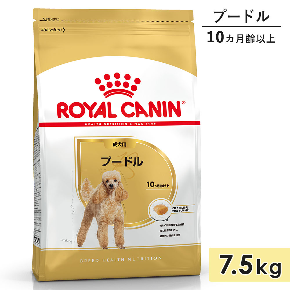 ロイヤル聖地 プードル 成犬用 7.5kg 生後10カ月齢以上 素っ気ないボンネット ドッグフード 取り入れる営養素食 ROYALCANIN 定め事品