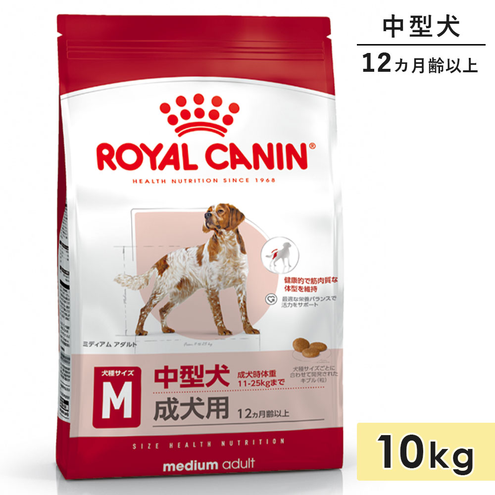 ロイヤル聖地 並み並み 成年者 10kg 中型犬用 成犬用 生後12カ月齢以上 素っ気ないボンネット ドッグフード 取り入れる営養素食 ROYALCANIN 定め事品
