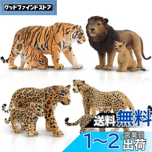 カロラータ　立体図鑑5セット 立体図鑑 日本の動物ボックス│動物 カロラータ オンラインショップ