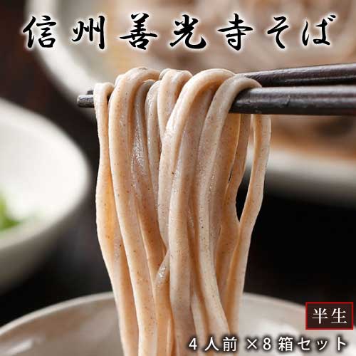 信州 善光寺 半生そば （100g×4人前）×8箱セット ｜八ヶ岳蕎麦香房｜蕎麦つゆ付き｜蕎麦｜善光寺そば｜渡辺製麺｜まとめ買い｜大量｜業務用｜備蓄｜買い置き｜非常食｜ストック｜ローリングストック｜防災｜直送