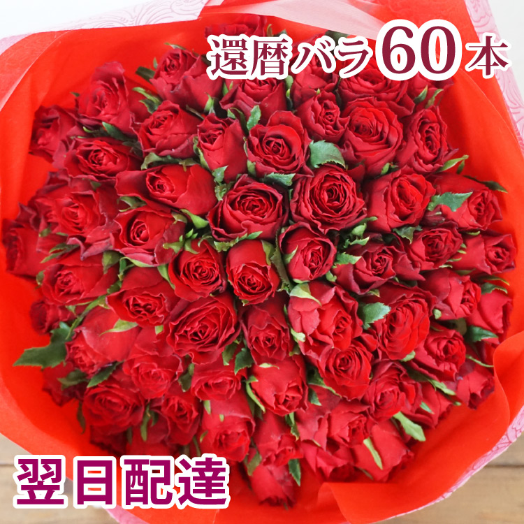 還暦祝い 赤バラ60本 花束 フラワーギフト プレゼント バラ 薔薇還暦 花 御祝 お祝い 誕生日 記念日 生花 賀寿祝い 長寿祝い ギフト女性  FKAA 超目玉