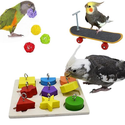 楽天市場】セキセイインコ おもちゃ インコ おもちゃ インコ おも 3