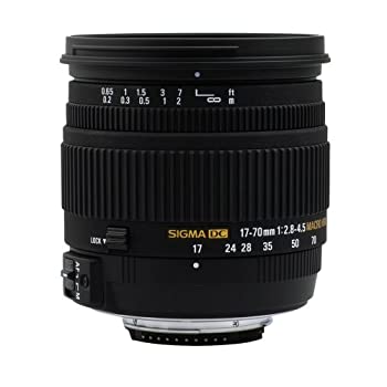 【中古】(未使用品)シグマ 17-70mm F2.8-4.5 DC MACRO HSM ニコン用
