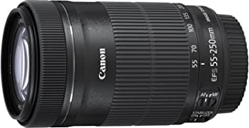 【中古】Canon 望遠ズームレンズ EF-S55-250mm F4-5.6 IS STM APS-C対応 EF-S55-250ISSTM 25,049円