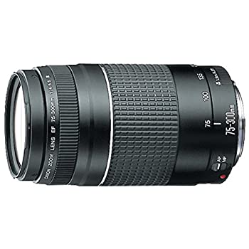 美品！　EF75-300mm F4-5.6 III USM 望遠レンズ キヤノン Canon EF 75-300mm f/4-5.6 III 美品 EFマウント 望遠