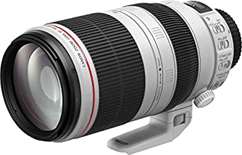 【中古】（非常に良い）Canon 望遠ズームレンズ EF100-400mm F4.5-5.6L IS II USM フルサイズ対応 EF100-400LIS2