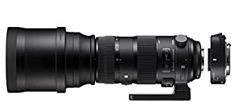 【中古】(非常に良い)SIGMA 超望遠ズームレンズ Sports 150-600mm F5-6.3 DG OS HSM テレコンバーターキット シグマ用 フルサイズ対応|GoodLifeStore