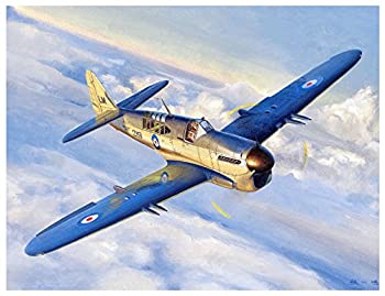 【中古】トランペッター 1/48 イギリス海軍 フェアリー ファイアフライ Mk.1 プラモデル 05810｜GoodLifeStore