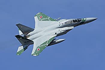 【中古】(非常に良い)フジミ模型 1/48 日本の戦闘機シリーズSPOT No.5 F-15J 飛行教導群 アグレッサー 908号機 プラモデル JBSP5