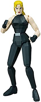 【中古】figma バーチャファイター サラ・ブライアント ノンスケール ABS&PVC製 塗装済み可動フィギュア