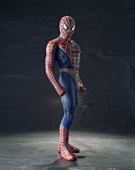 【中古】(未使用品)ソフビ魂 スパイダーマン画像