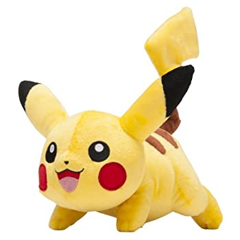 ポケモン★♥ピカチュウ♥★団員ごっこ・プラズマ団★ぬいぐるみ★ポケモンセンター ポケモンセンター ピカチュウ プラズマ団ごっこぬいぐるみ