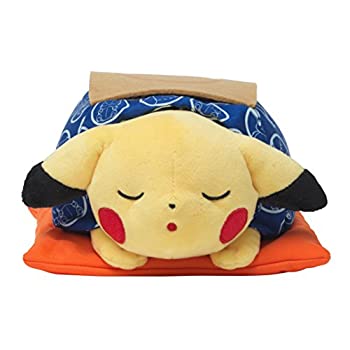 爆売り 中古 ポケモンセンターオリジナル ぬいぐるみ マンスリーピカチュウ16 2月 日本最大級 Dinemore Lk