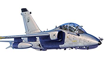 【中古】（非常に良い）ホビーボス 1/48 イタリア/ブラジル AMX-T 練習機 プラモデル 81743