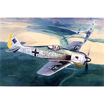 (未使用･未開封品)　ハセガワ 1/48 ドイツ空軍 フォッケウルフ Fw190A-8/R8 ボーデンプラッテ プラモデル 07470 bt0tq1u Amazon | ハセガワ 1/48 ドイツ空軍 フォッケウルフ Fw190A-8/R8