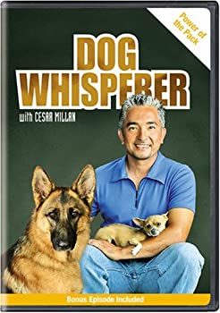 【中古】（非常に良い）Dog Whisperer With Cesar Millan: Power of the Pack [DVD] [Import]