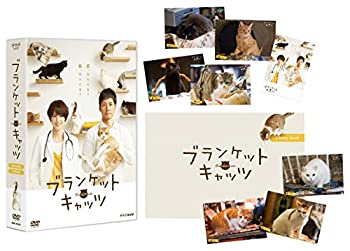 【中古】（非常に良い）ブランケット・キャッツ DVD-BOX
