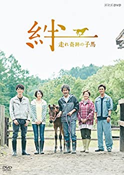 【中古】（非常に良い）絆~走れ奇跡の子馬~ [DVD]