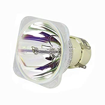 【中古】（非常に良い）Rich Lighting プロジェクター 　ランプ タイプ9 (裸電球) 308991 RICOH PJ WX4240N / X4240N