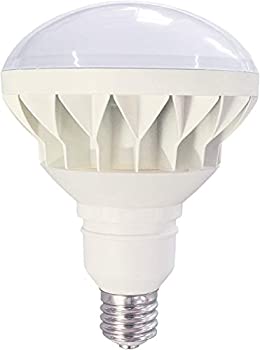 【中古】(非常に良い)調光調色LED電球 E39電球 E39 LED電球 400W~500W東芝、岩崎ランプホルダーE39対応 Par56 バラストレス電球 60W E39 水銀灯 スイッチのON/OFFで調|GoodLifeStore