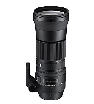 【中古】シグマ SIGMA 150-600mm F5-6.3 DG OS HSM Contemporary※ニコンマウント※DGレンズ(フルサイズ対応) Contemporary 150-600 DG OS/CON NA|GoodLifeStore