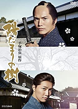 【中古】（非常に良い）陽だまりの樹 [レンタル落ち] 全6巻セット [DVDセット商品]