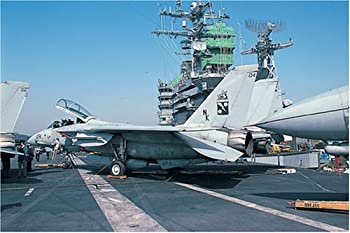楽天市場】【中古】アバンギャルドモデル 1/48 アメリカ海軍 F-14D