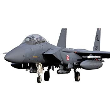 【中古】（非常に良い）1/48 USAF F-15E シーモア・ジョンソン AM12295 ［アメリカ］