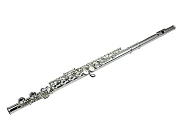 【中古】シグネチャーシリーズ2810N　フルート(16ホール)　Hisonic社　silver【並行輸入】