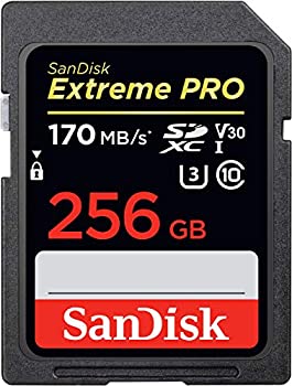 【中古】（人並み外れたに好いたらしい）SanDisk サンディスク Extreme Pro SDXC 256GB 歌留多 UHS-I 超高速道路U3 V30 Class10 4K相応う