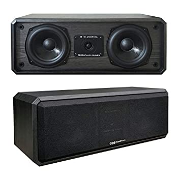 【中古】（人並み外れたに好いたらしい）CENTER CHANNEL SPEAKER