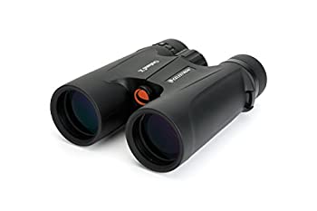 【中古】（非常に良い）Celestron 144929 Jumelles Noir